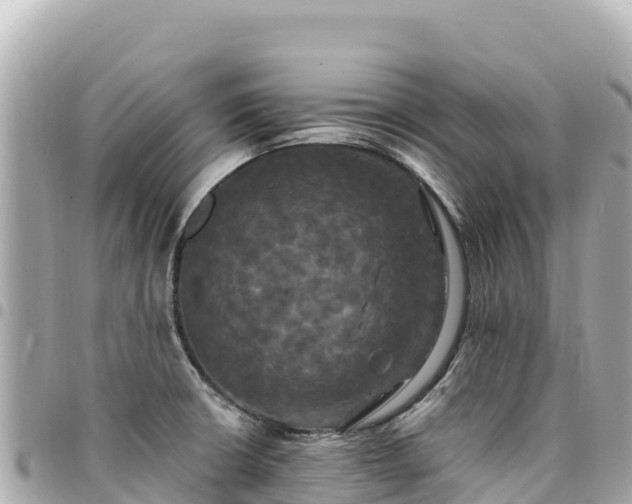 X0000095111426200712141142