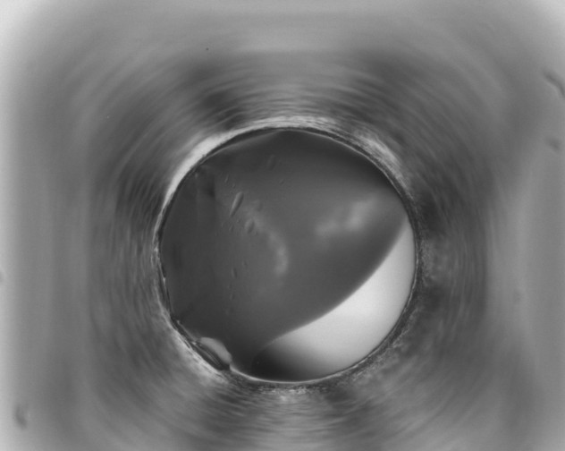 X0000095111428200712141142