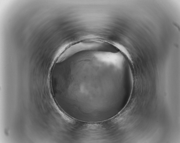 X0000095111429200712141142