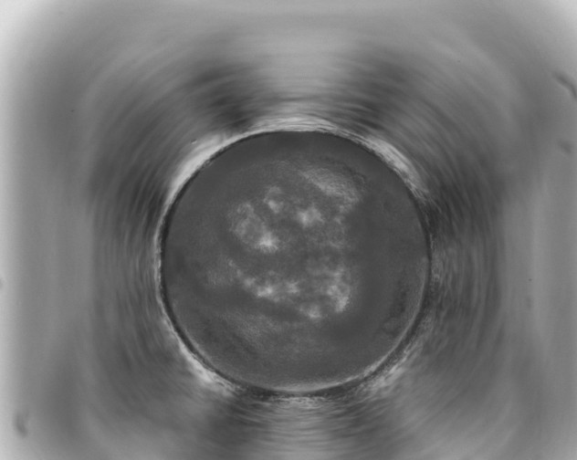 X0000095111430200712141142