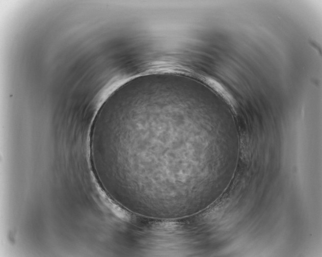 X0000095111431200712141142