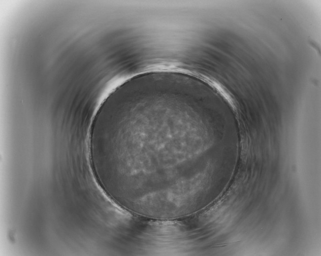 X0000095111432200712141142