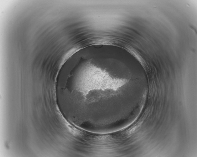 X0000095111434200712141142