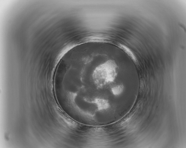 X0000095111435200712141142