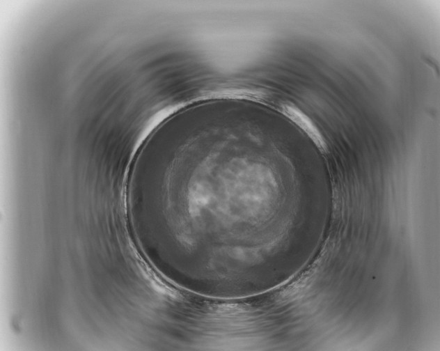 X0000095111436200712141142