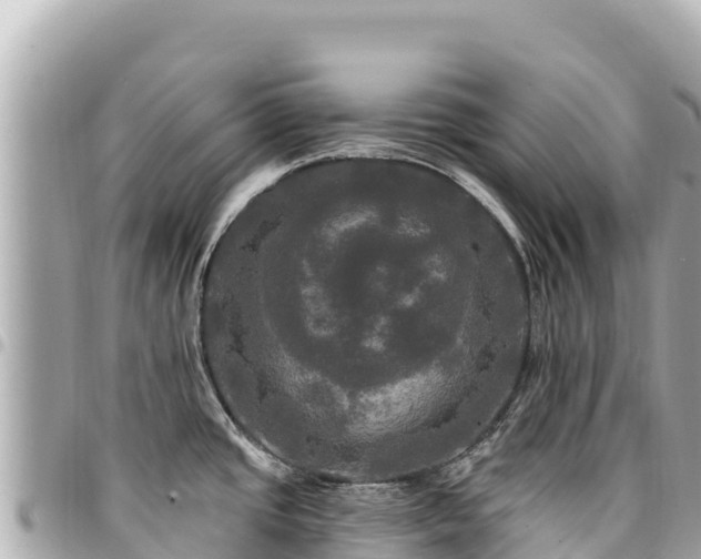 X0000095111437200712141142