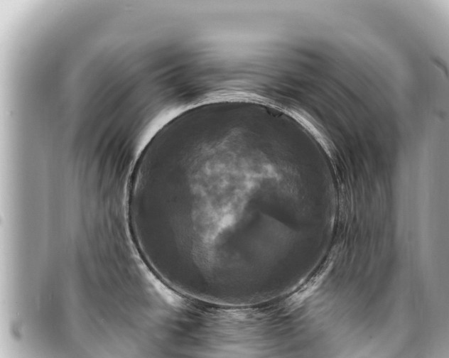 X0000095111438200712141142