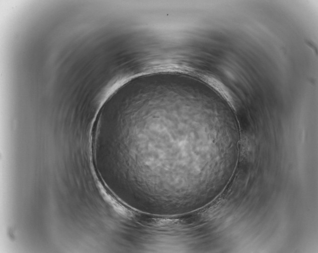 X0000095111439200712141142