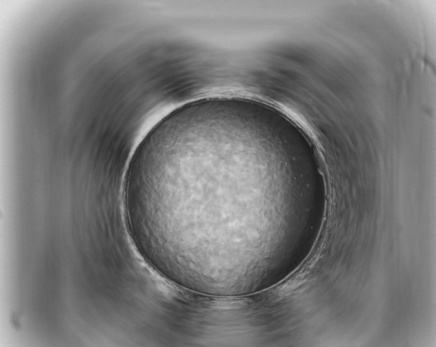 X0000095111440200712141142