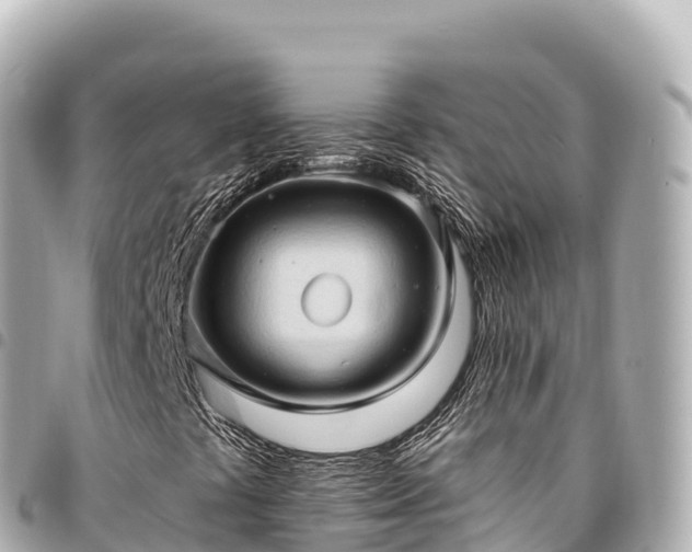 X0000095111441200712141141