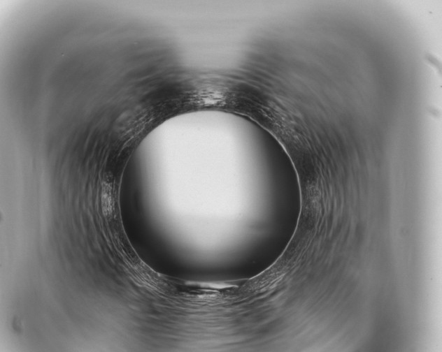 X0000095111442200712141141