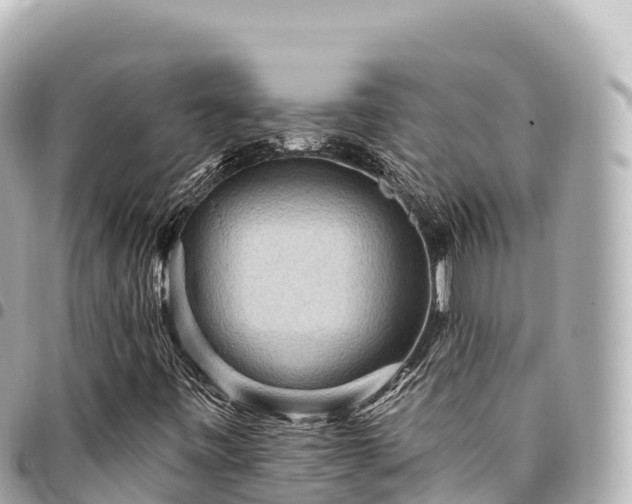 X0000095111443200712141141