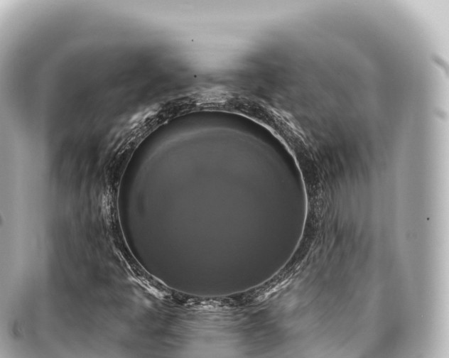 X0000095111445200712141141