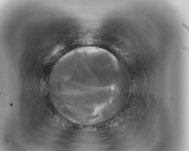 X0000095111446200712141141