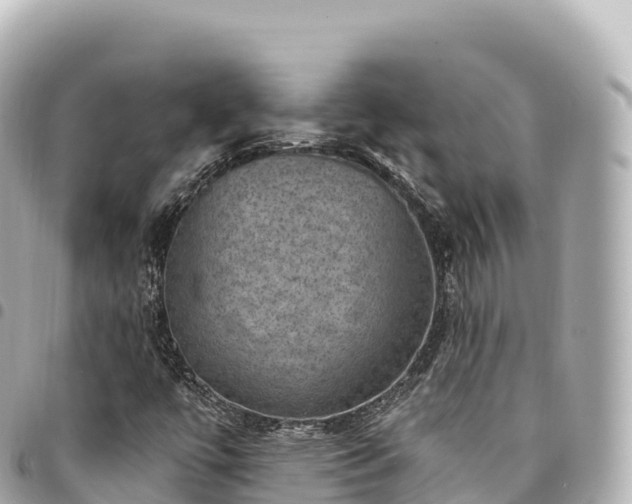 X0000095111447200712141141