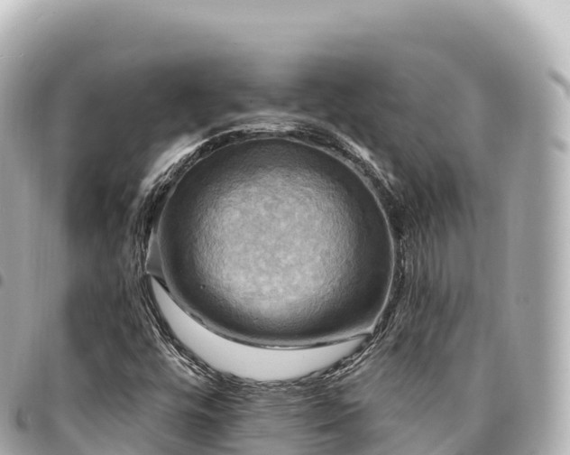 X0000095111448200712141141