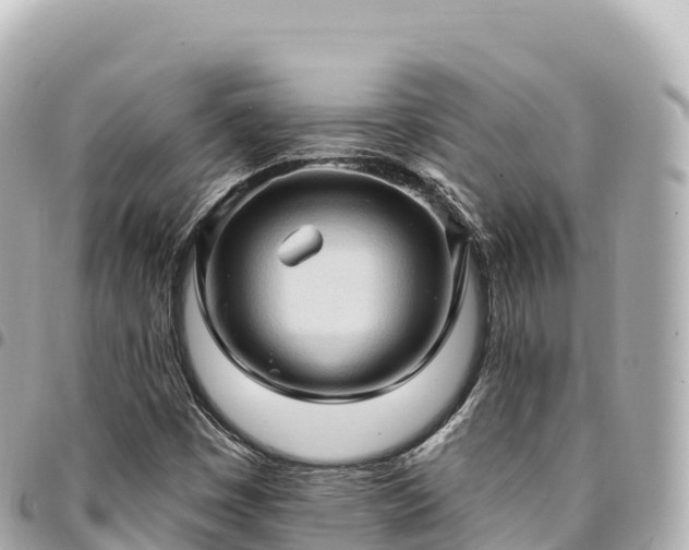 X0000095111449200712141141