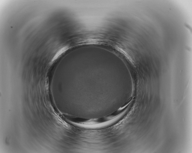 X0000095111450200712141141