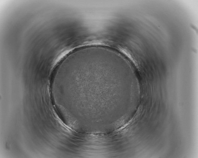 X0000095111452200712141141