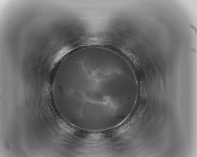 X0000095111453200712141141