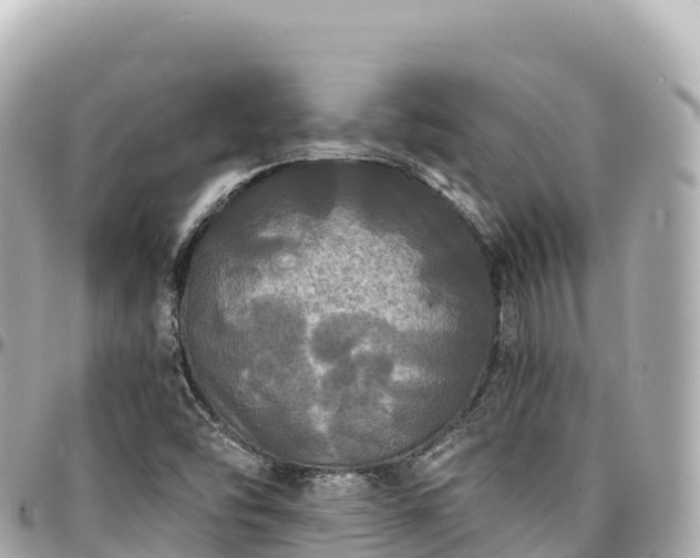 X0000095111454200712141141