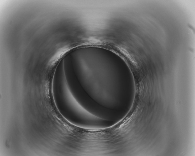 X0000095111455200712141141