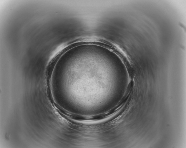 X0000095111456200712141141