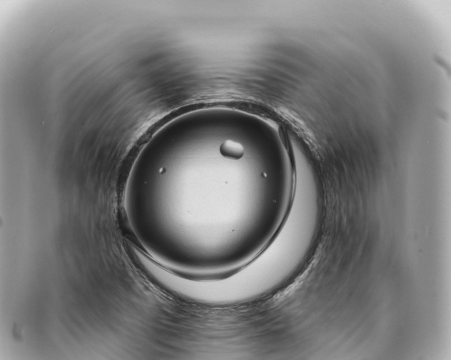 X0000095111457200712141141