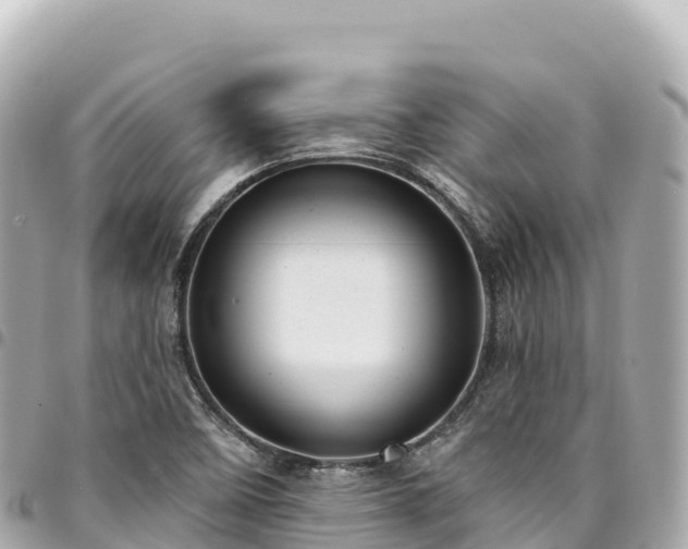 X0000095111458200712141141