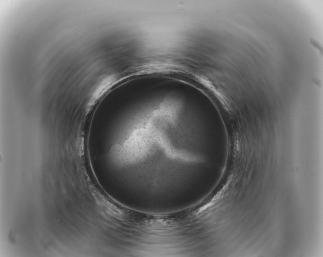 X0000095111459200712141141