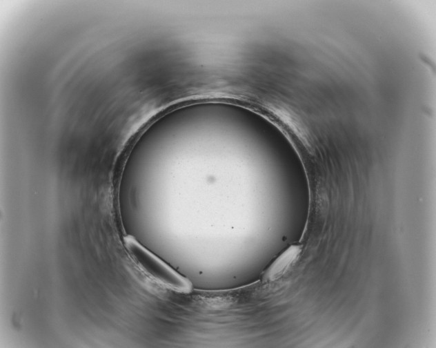 X0000095111460200712141141