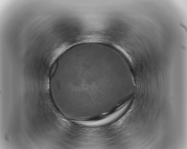 X0000095111461200712141141