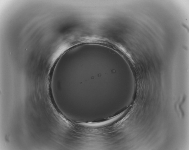 X0000095111463200712141141