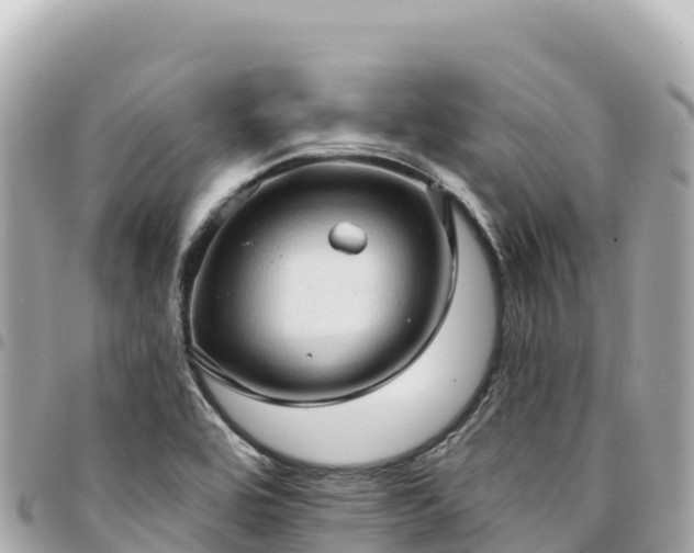 X0000095111464200712141141