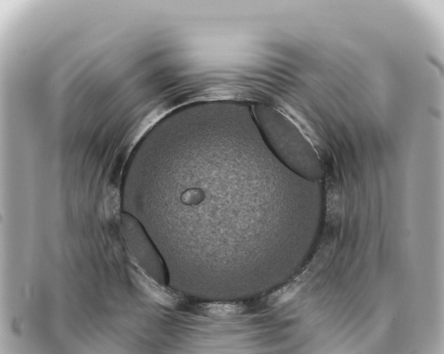 X0000095111465200712141141