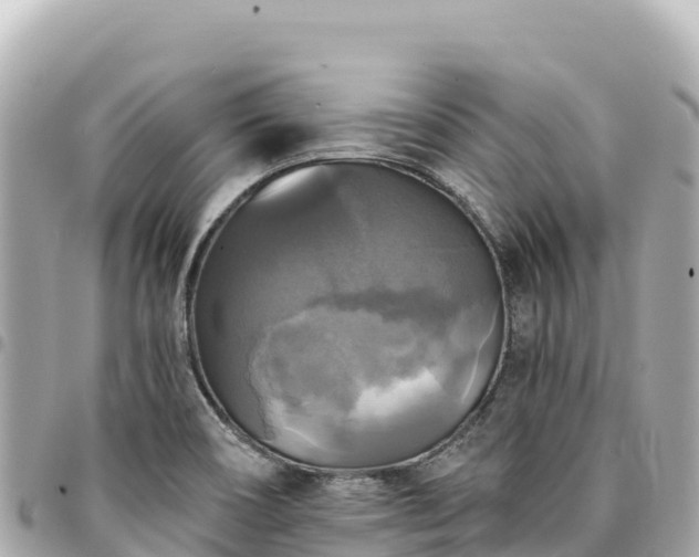 X0000095111466200712141141