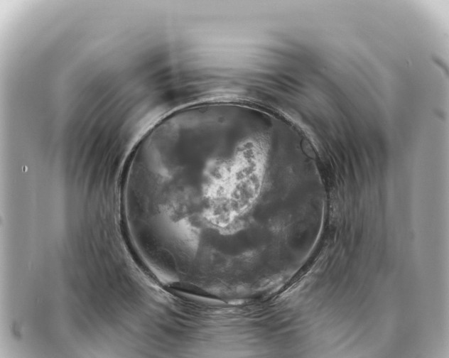 X0000095111467200712141141