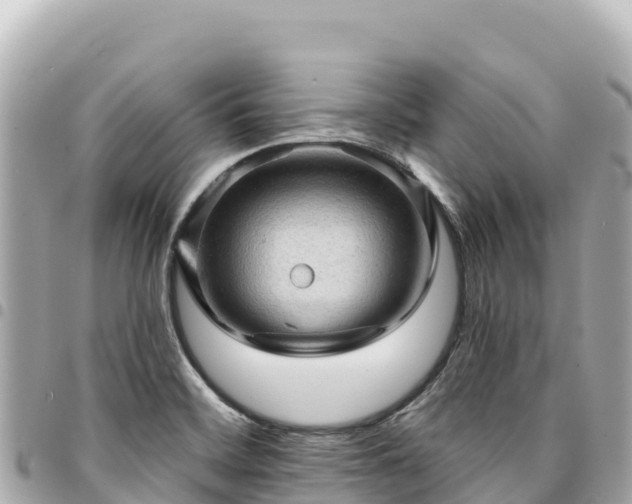 X0000095111468200712141141