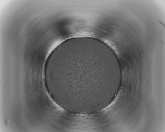 X0000095111469200712141141