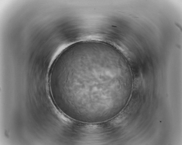 X0000095111470200712141141