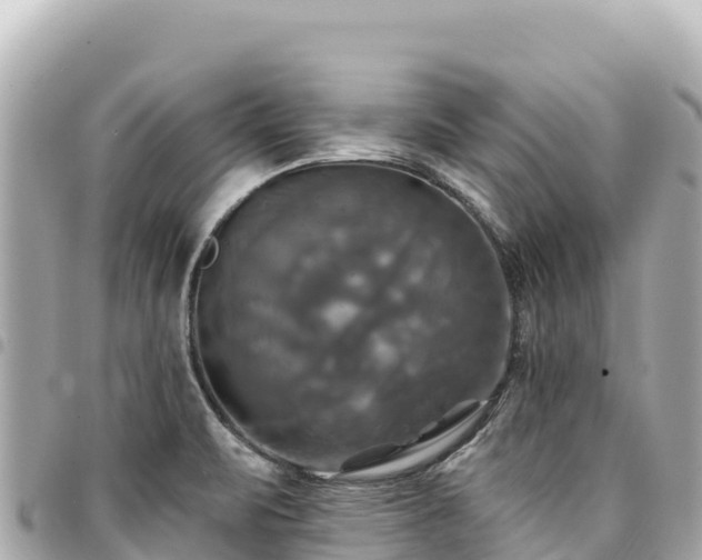 X0000095111471200712141141