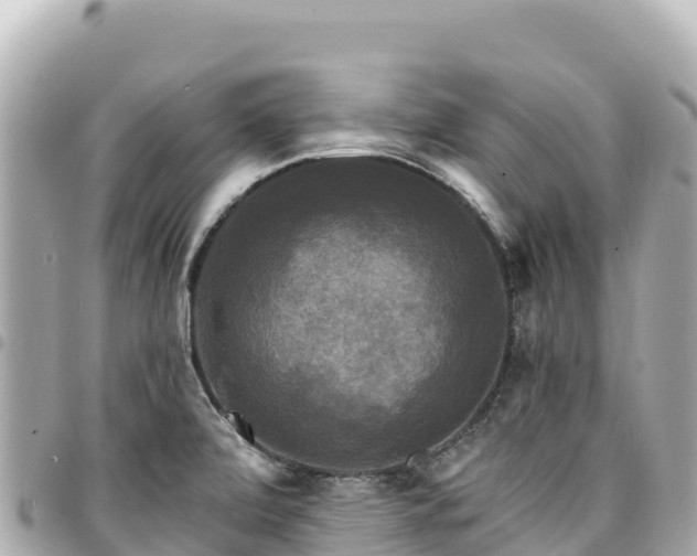 X0000095111472200712141141