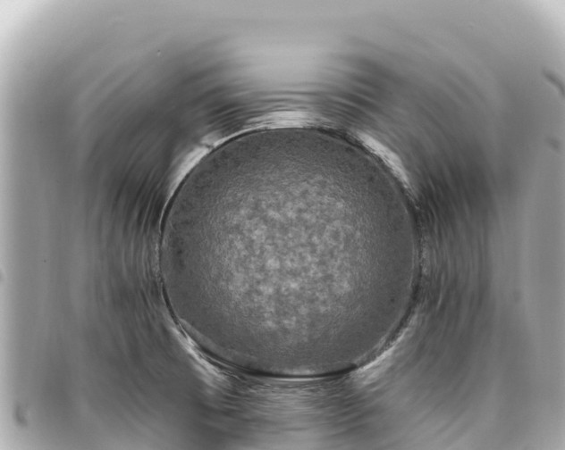 X0000095111473200712141141