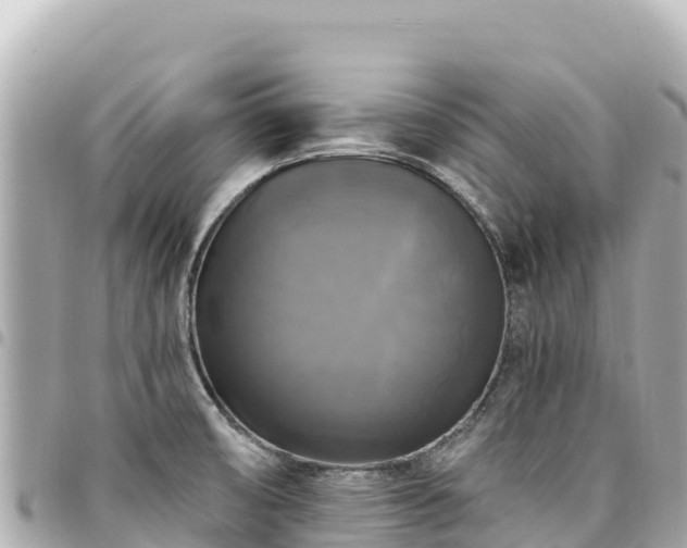 X0000095111474200712141141