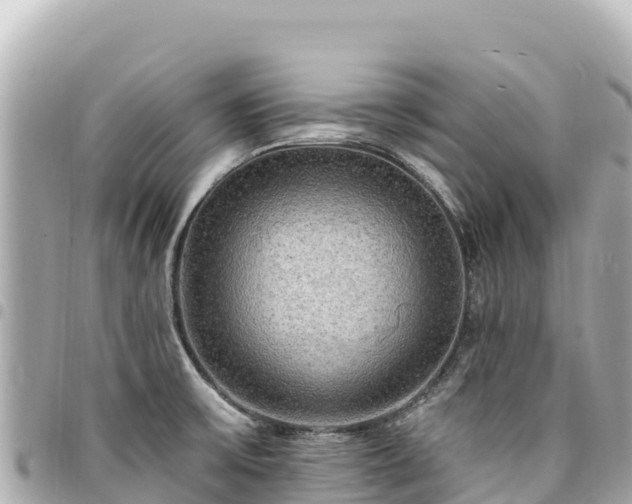 X0000095111475200712141141