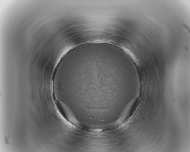 X0000095111476200712141141