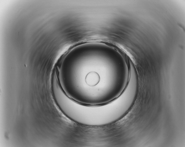 X0000095111477200712141141