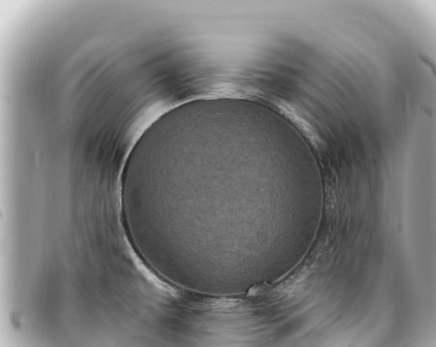 X0000095111479200712141141