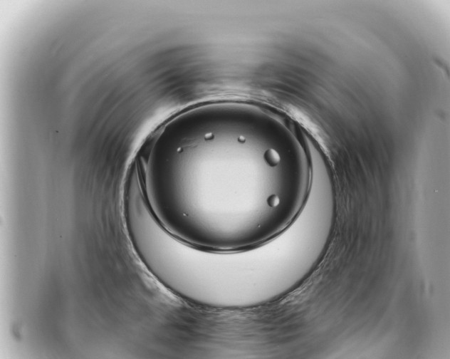 X0000095111480200712141141