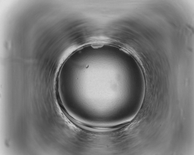 X0000095111488200712141141